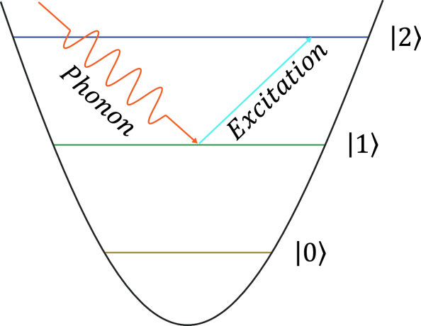 Phonon Stimulated Excitations